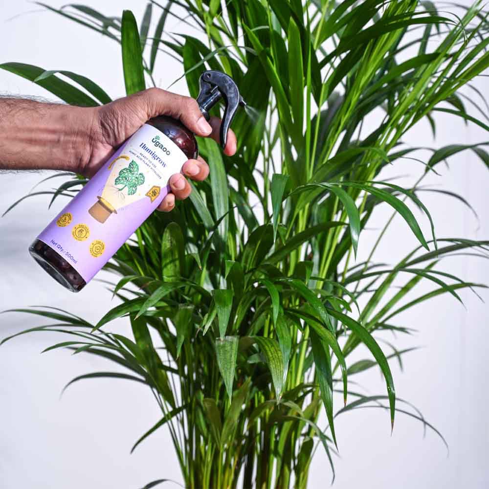 Humic Acid Ready-to-Use Spray - 500 ml