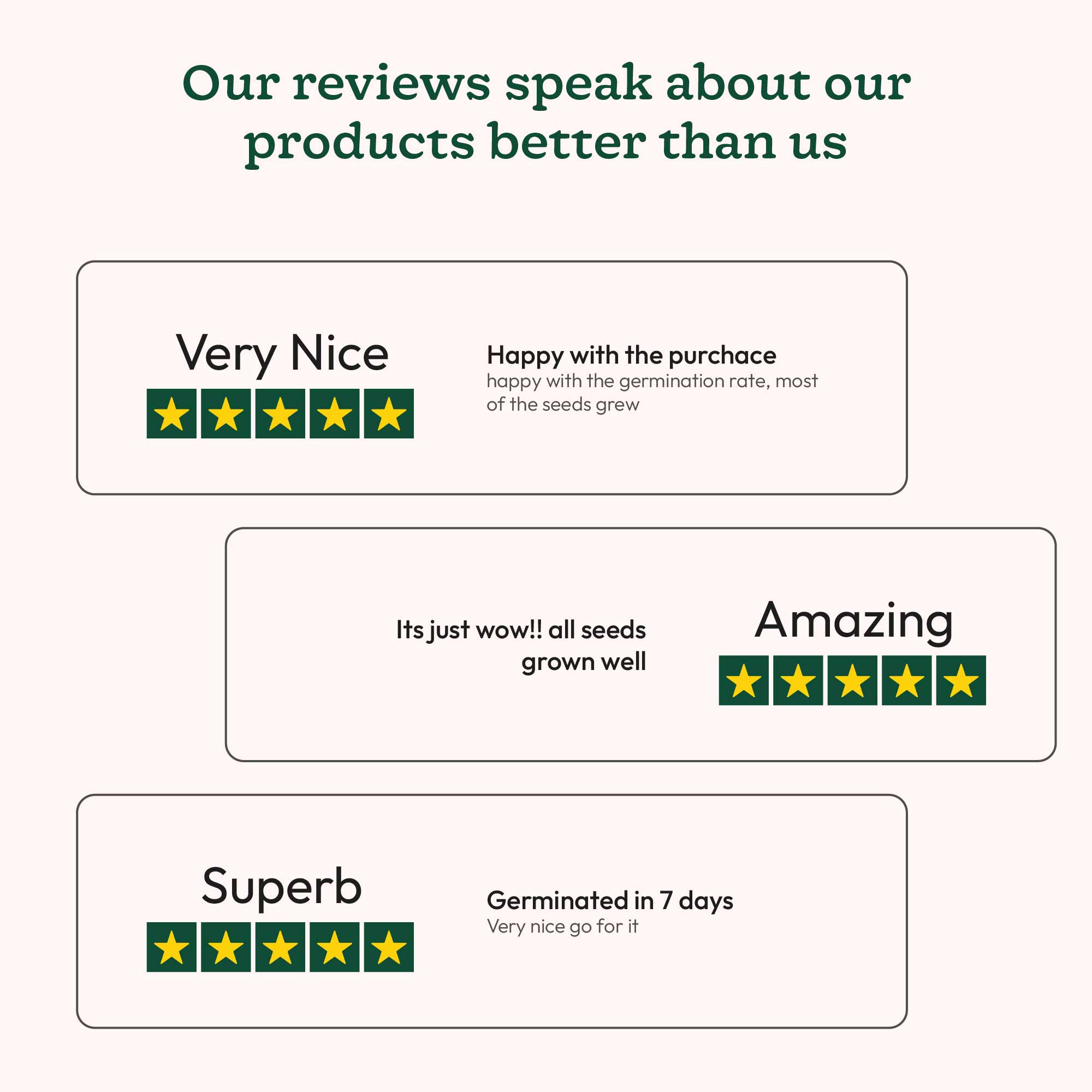 Thai Basil (1000 Seeds)