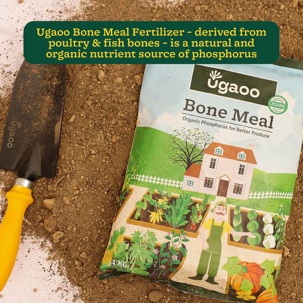 Ugaoo Bone Meal - 1 kg