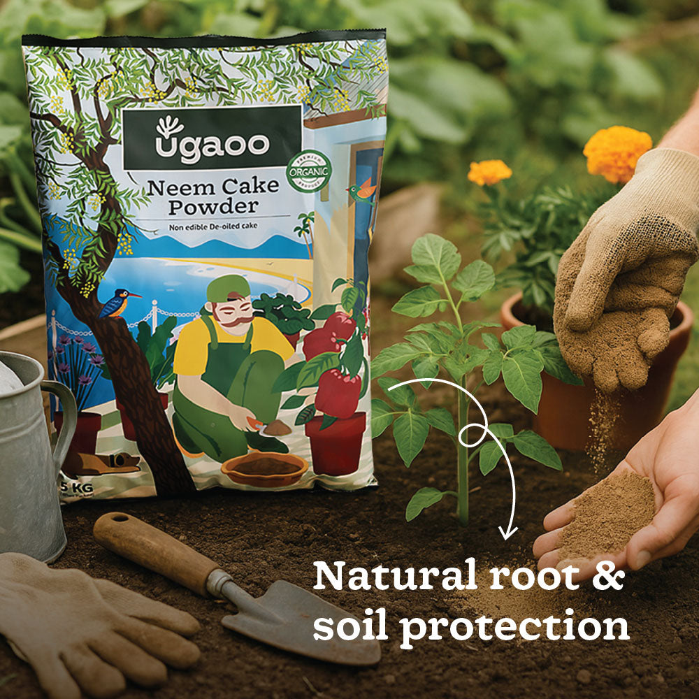 Ugaoo Essential Soil Nutrition Duo