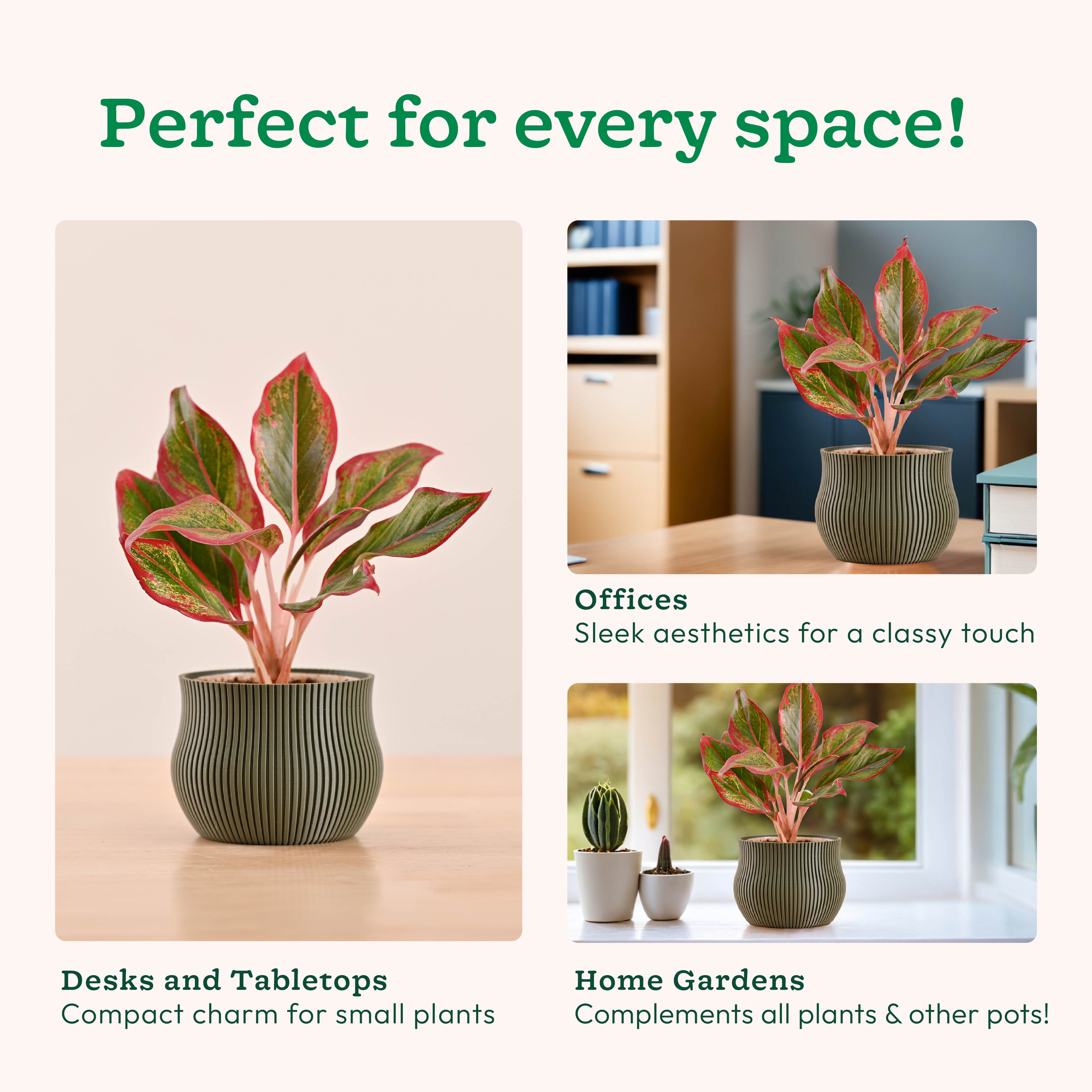 3d printed pots_NUHP0345