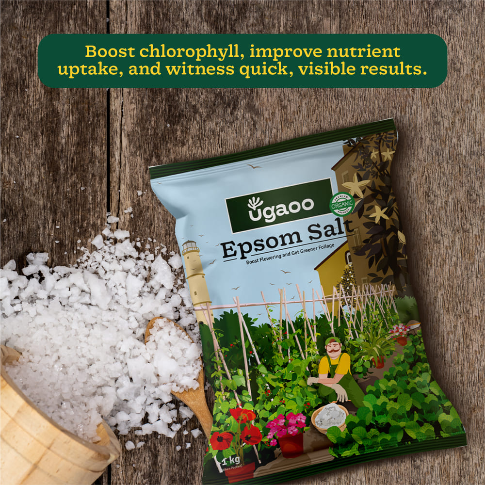 Epsom Salt - 1 kg