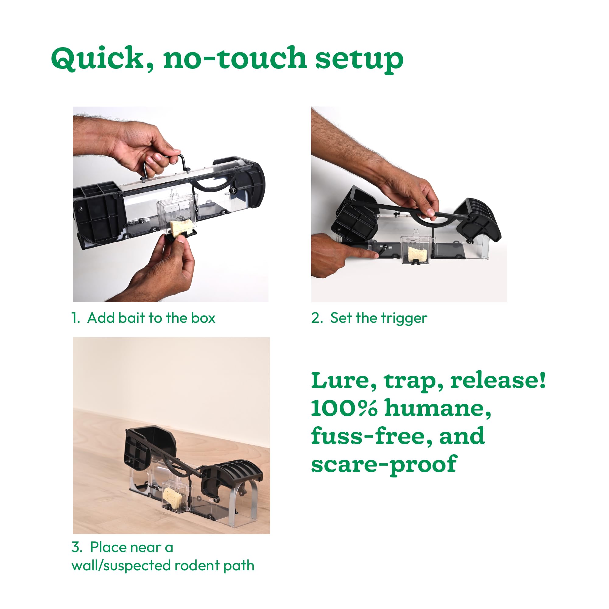 Rat & Mouse Trap Cage – 3 Door