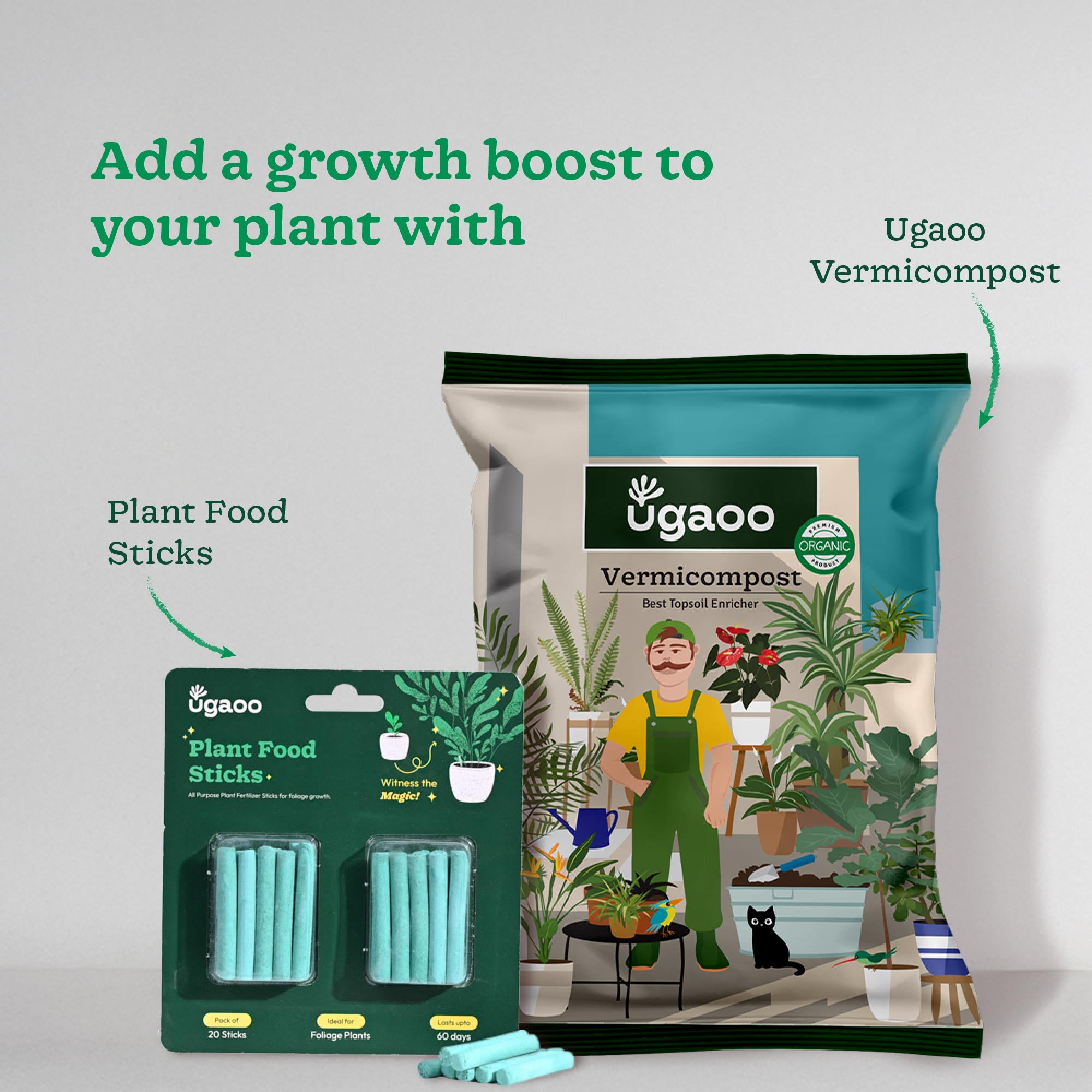 Money Plant Golden with Moss Stick