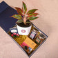 Aglaonema Red Plant & Phool Diwali Gift Hamper