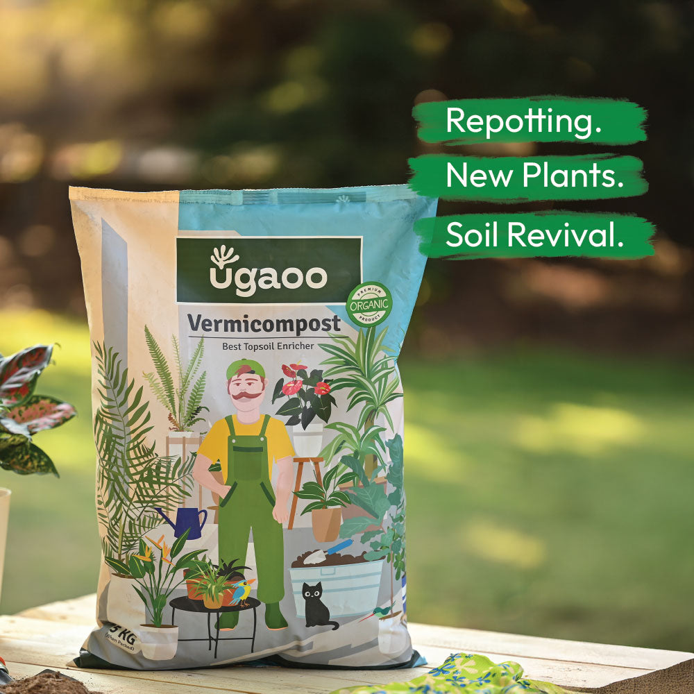Ugaoo Essential Soil Nutrition Duo