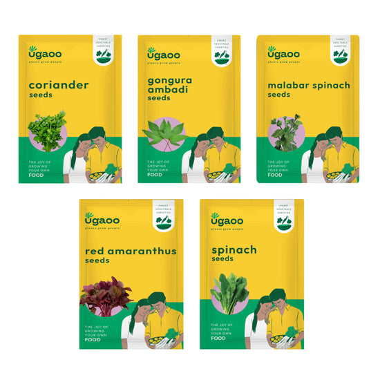 Leafy Vegetable Seeds Bundle of 5 Packet