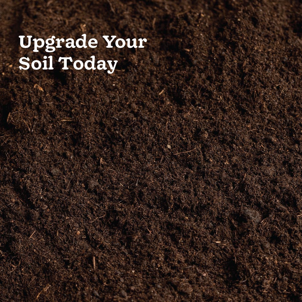 Ugaoo Essential Soil Nutrition Duo