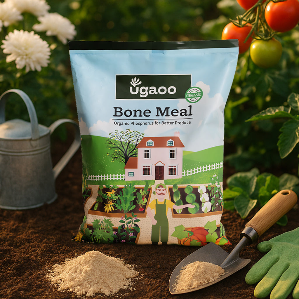 bone meal fertilizer for plants Bone Meal Fertilizer: Enhance Plant Health & Growth – Ugaoo