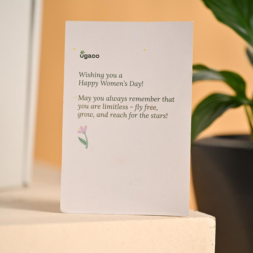 Grace & Growth – Women’s Day Plant & Chocolate Hamper