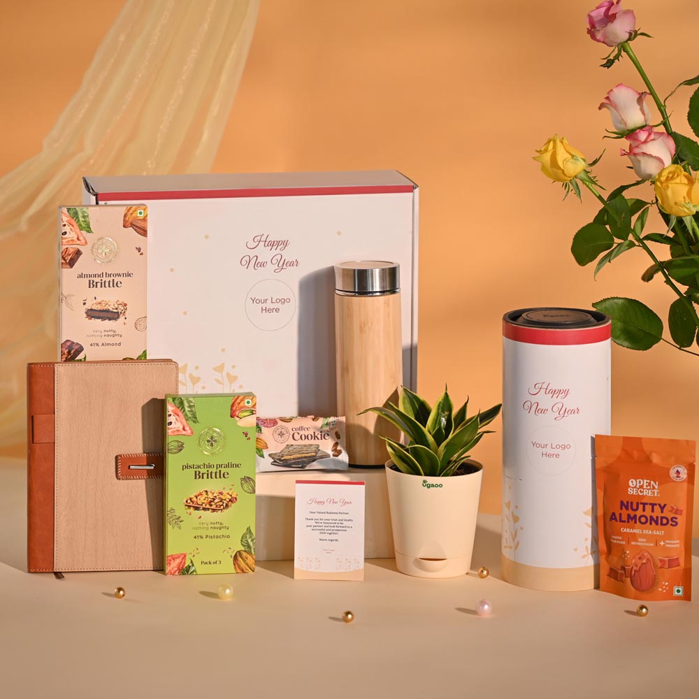 Snake Plant Premium Executive New Year Hamper