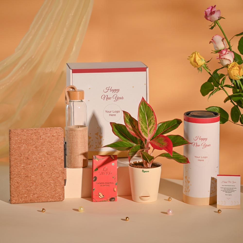 Aglaonema New Year Corporate Gifting Hamper