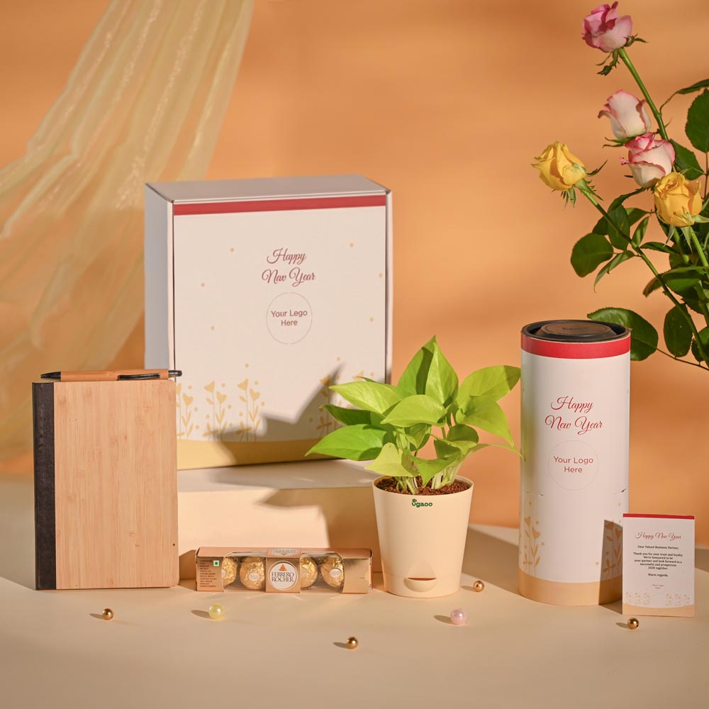 Money Plant New Year Corporate Desk Hamper