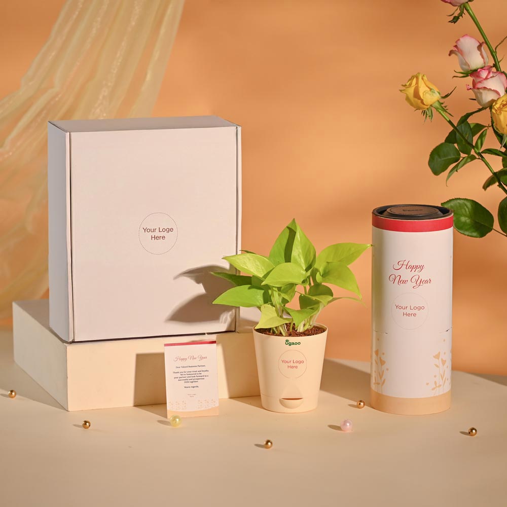 Money Plant New Year Corporate Desk Hamper
