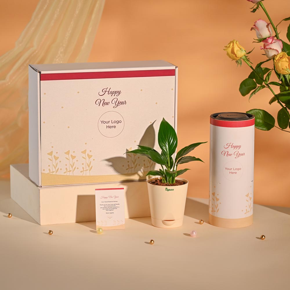 Peace Lily Luxury New Year Corporate Hamper