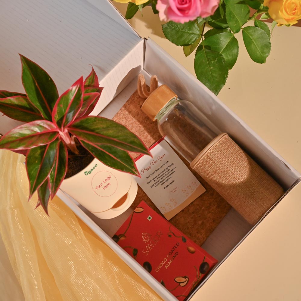 Aglaonema New Year Corporate Gifting Hamper