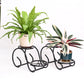Swirl Decorative Plant stand- Set of 2- Black