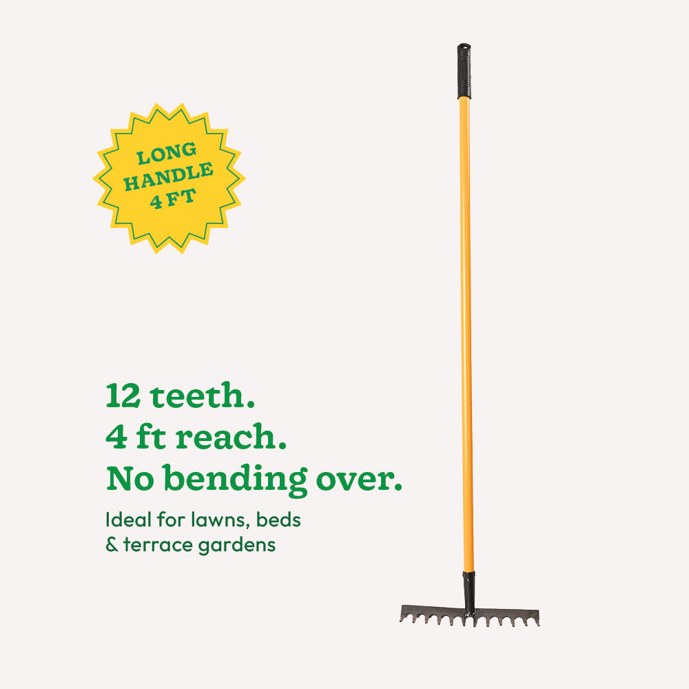 Garden Rake With Long Handle - 12 Teeth - 4 ft