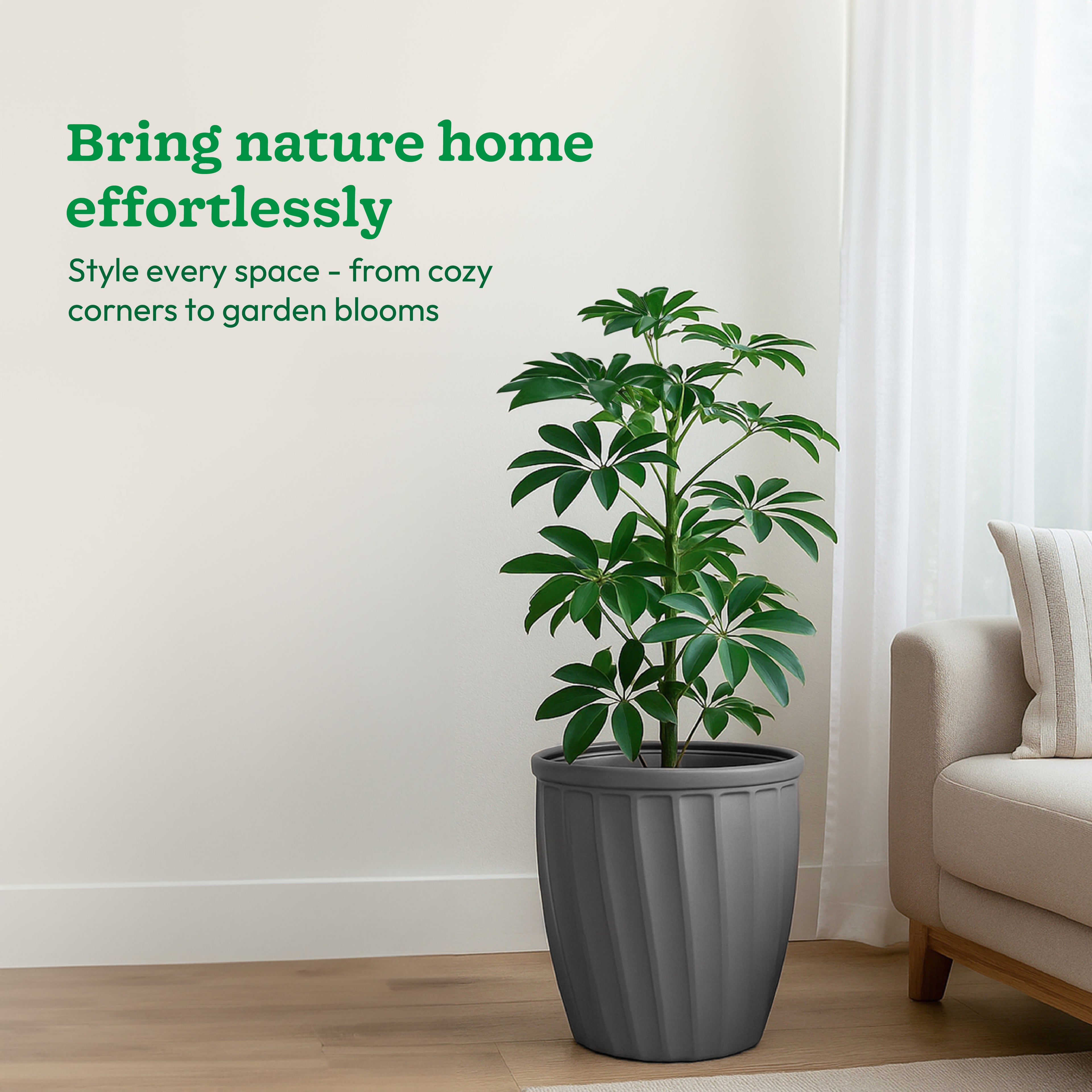 Kyiv Planter - Set of 3