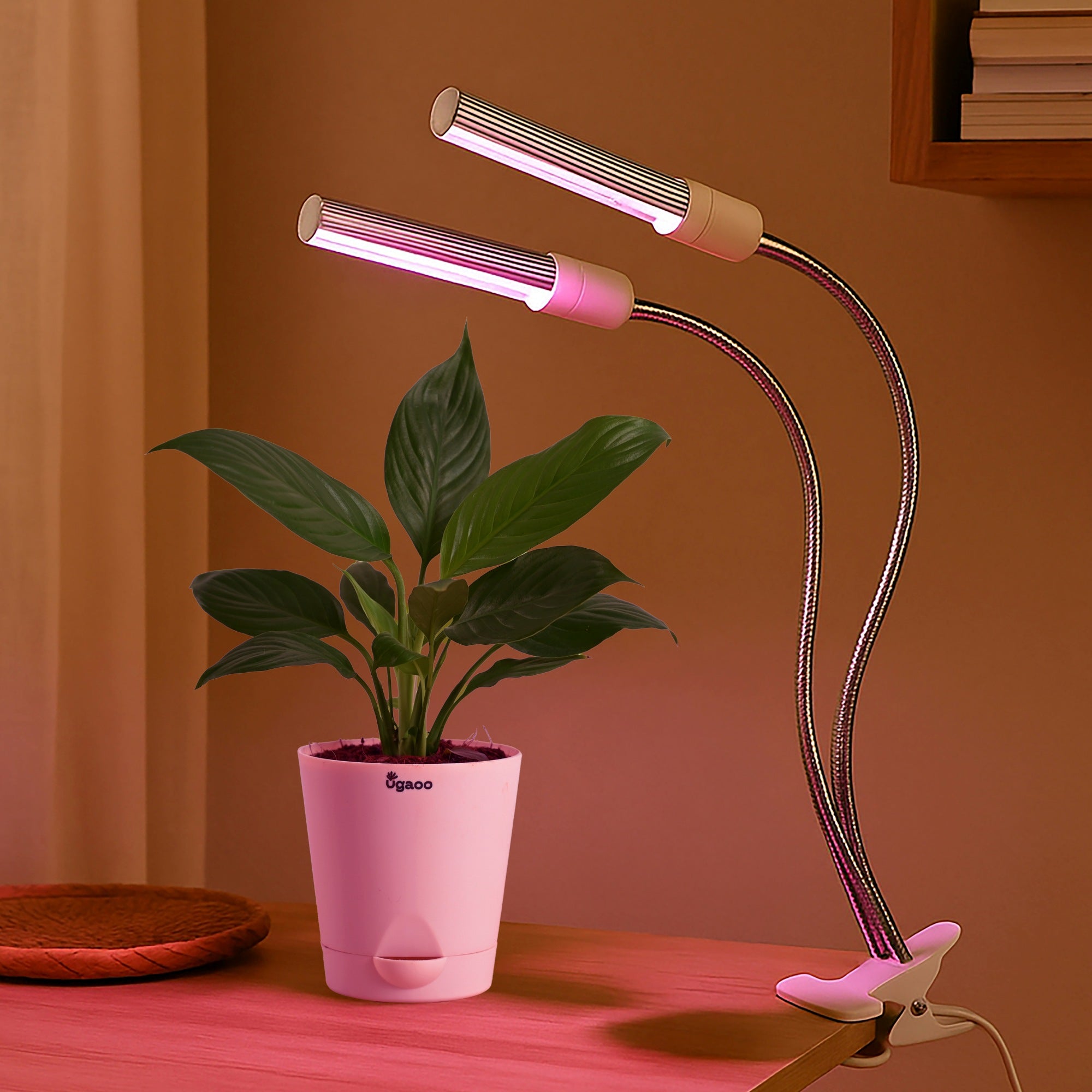 Grow Light for Indoor Plants