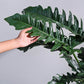 Philodendron Pluto Green XL