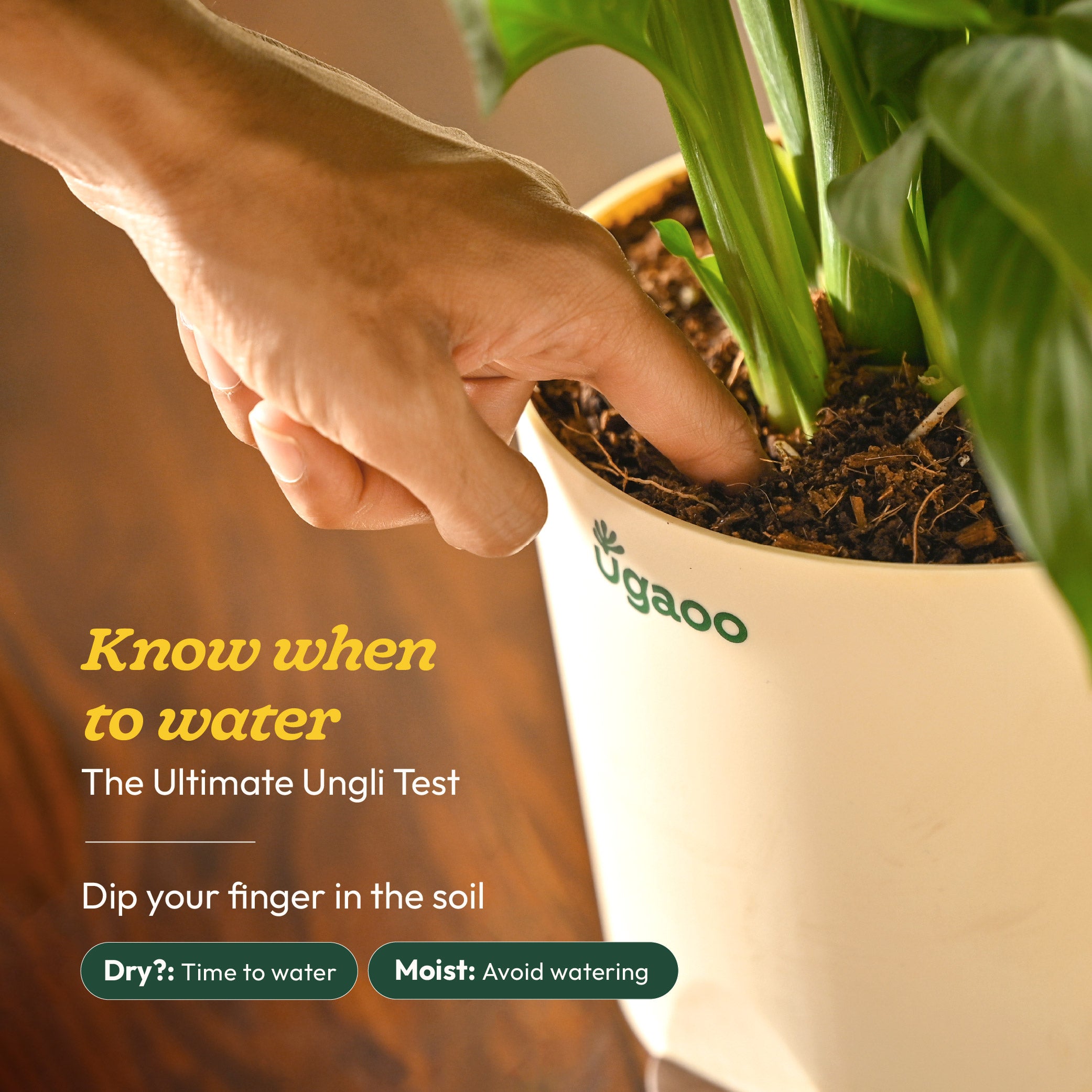 NUPL0081,NUPL0081KIY,NUPL0081KWT,NUPL0081KRD,NUPL0081KLG,NUPL0081KBN,NUPL0081KYL,NUPL0081QIY,NUPL0081QMC,NUPL0081QTC,NUPL0081RWT,NUPL0081RGR,NUPL0081LWT,NUPL0081LGY,NUPL0081LMC,NUPL0081DWT,NUPL0081DPC,NUPL0081YMC,NUPL0081YTC,NUPL0081YIY,NUPL0081TWT