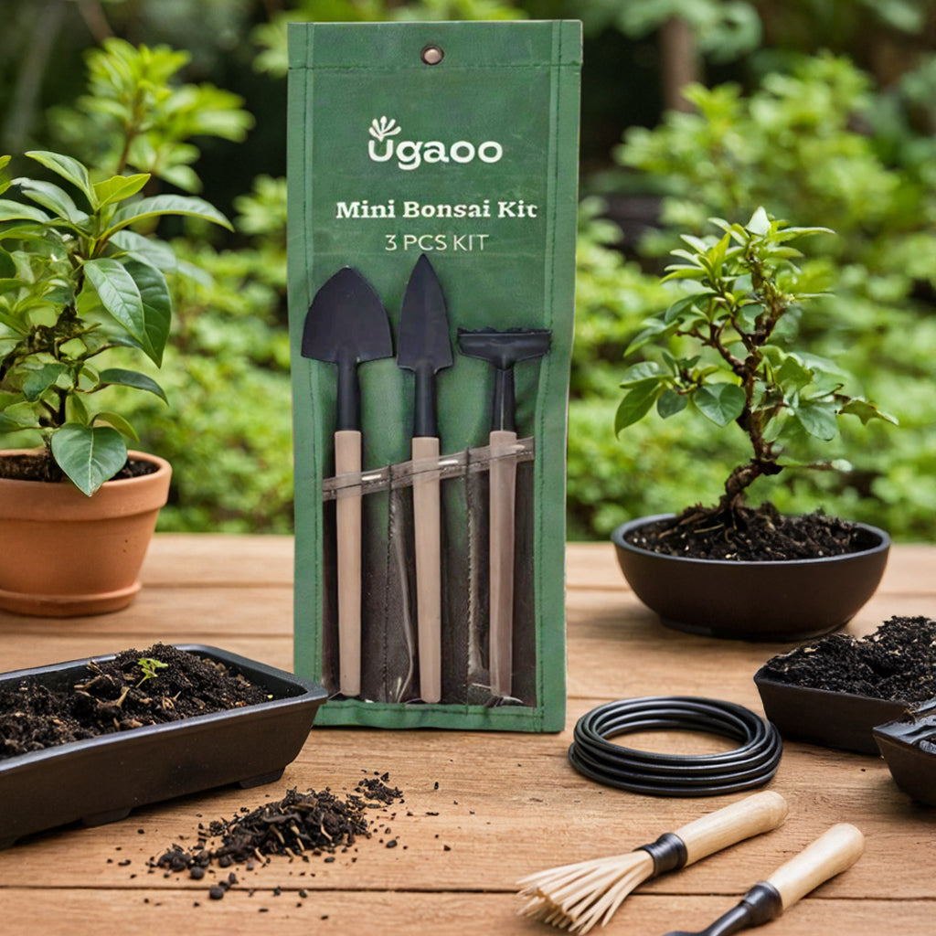 Mini Garden Bonsai Set
