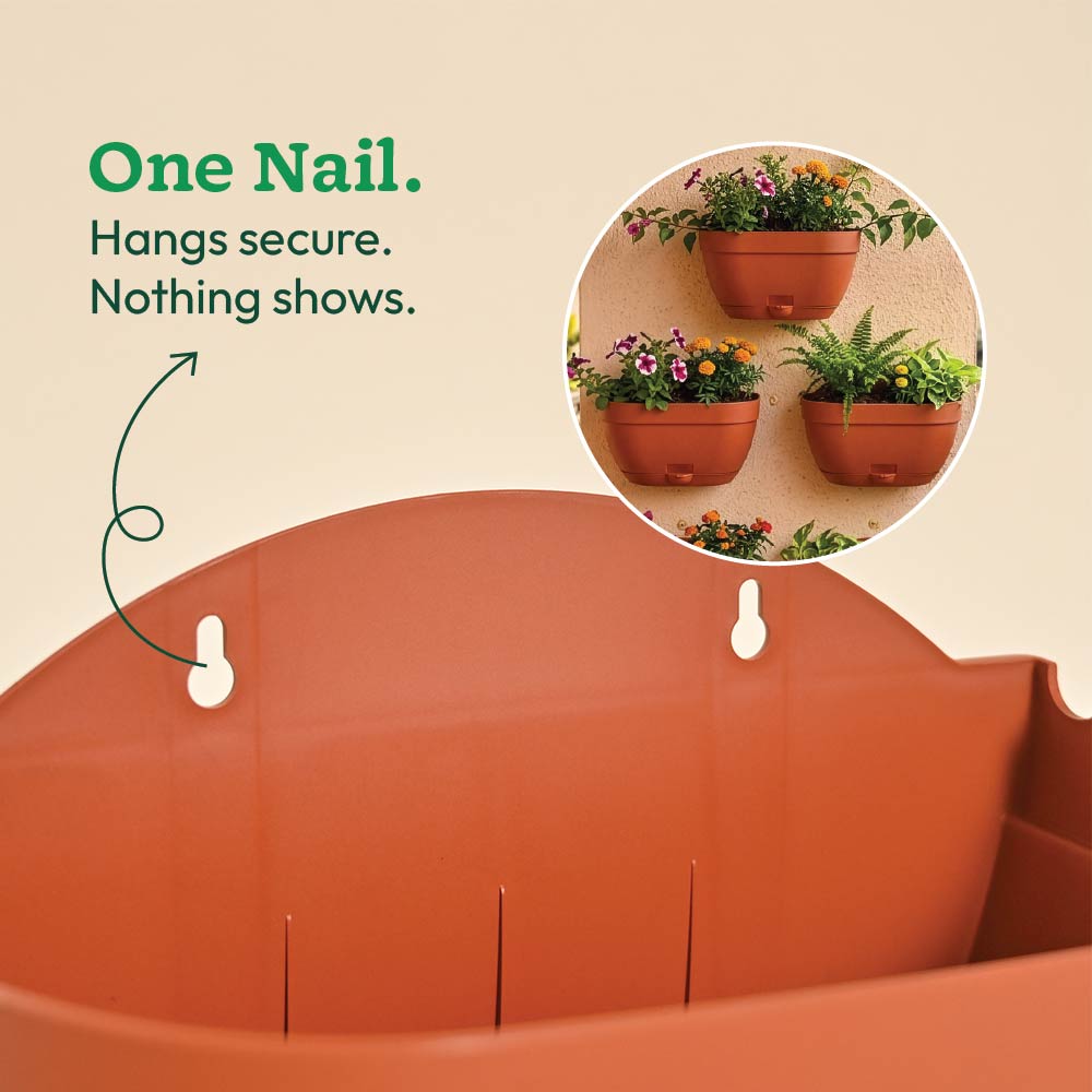 Mounta Wall Planter:- Set of 5