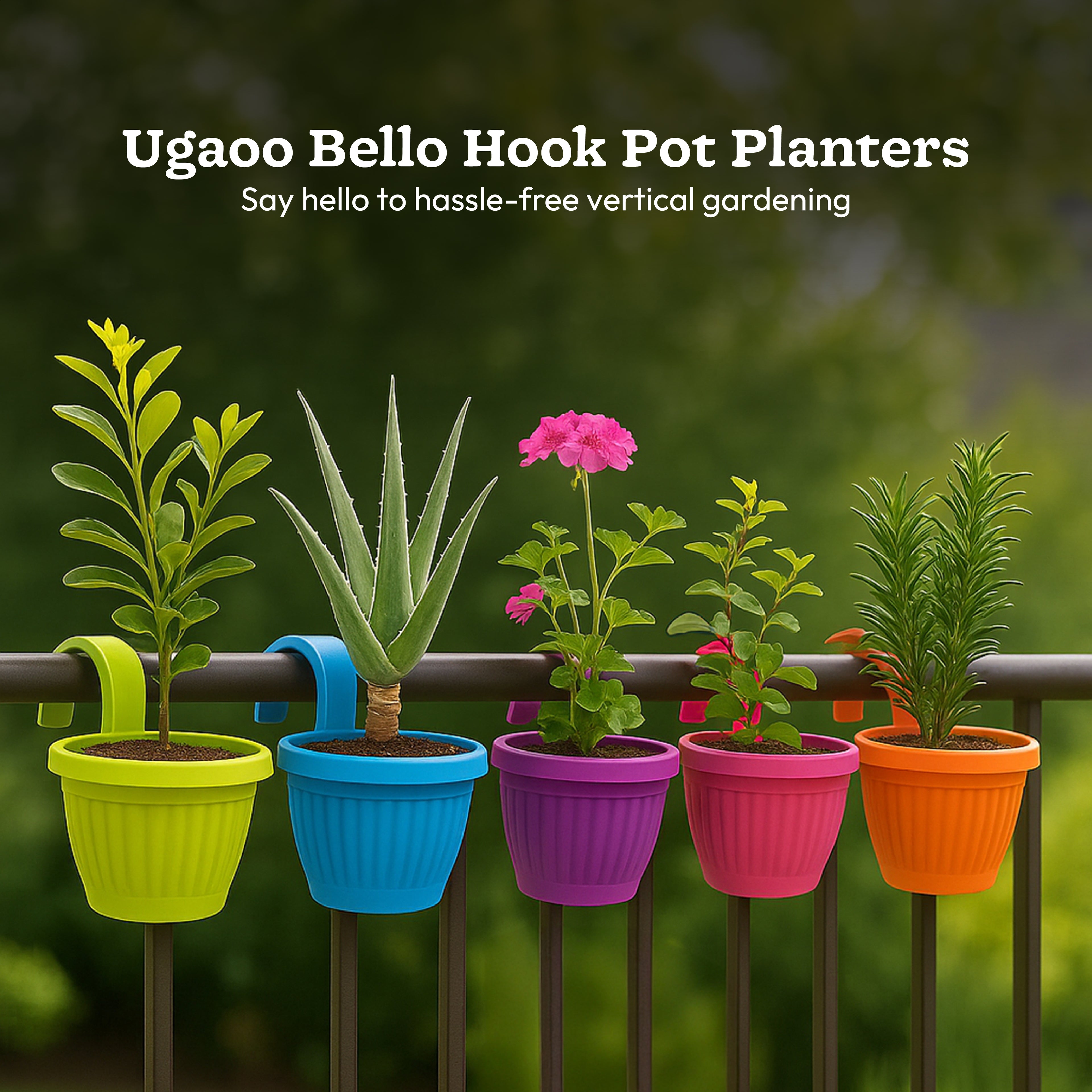 Bello hook planter (set of 5)