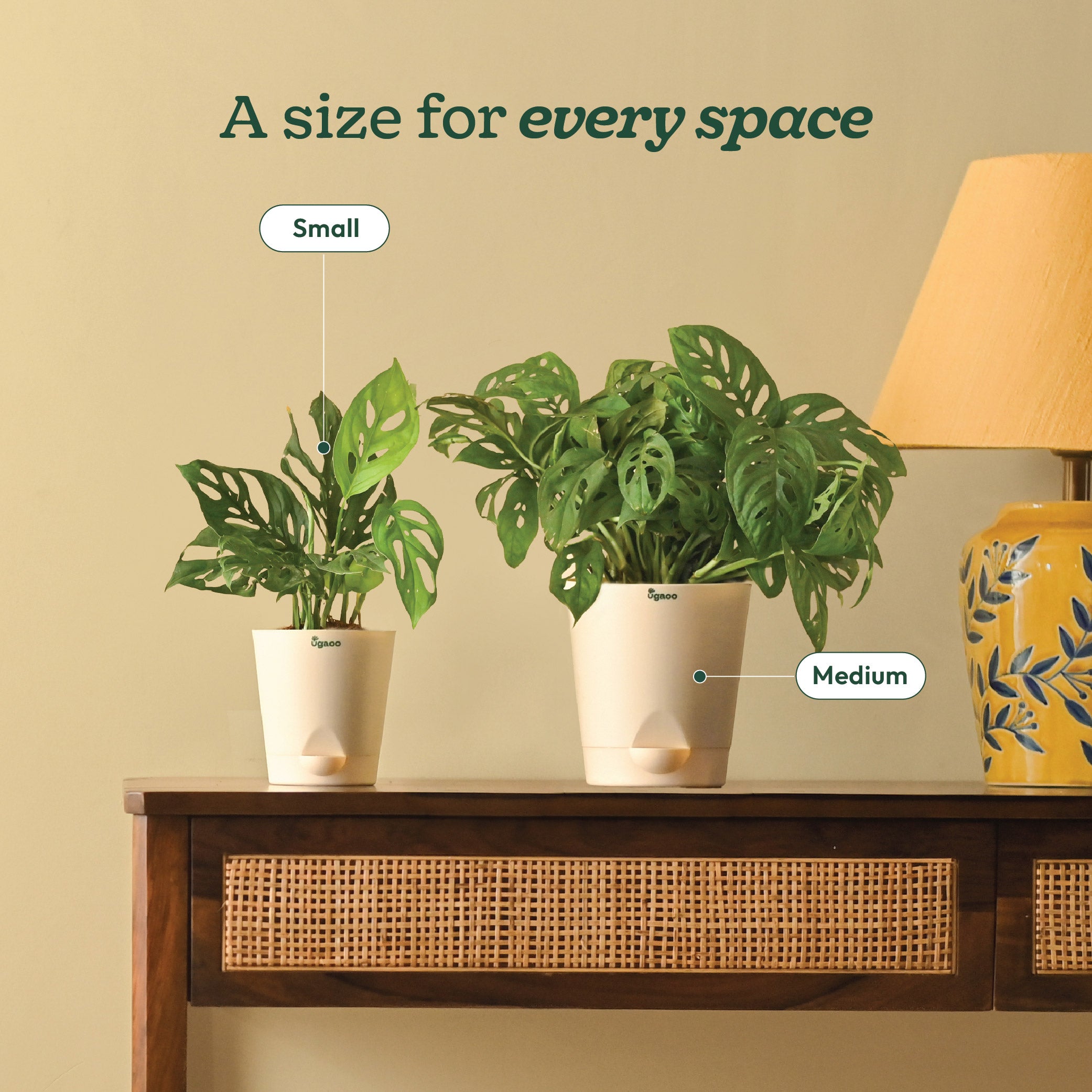 NUPL0019,NUPL0019KIY,NUPL0019KWT,NUPL0019KRD,NUPL0019KLG,NUPL0019KBN,NUPL0019KYL,NUPL0019QMC,NUPL0019QIY,NUPL0019QTC,NUPL0019YMC,NUPL0019YIY,NUPL0019YTC,NUPL3257,NUPL3258,NUPL3259,NUPL0019RWT,NUPL0019RGR,NUPL0019RPC,NUPL0019RMJ,NUPL0019RCB,NUPL0019LMC,NUPL0019LWT,NUPL0019LGY,NUPL0019SWT,NUPL0019SSB,NUPL0019SBK,NUPL0019STQ,NUPL0019SCB,NUPL0019SPK,NUPL0019DWT,NUPL0019DPC,NUPL0019DMJ,NUPL0019DCB,NUPL0019TWT,NUPL0019GWT,NUPL0019GPC,NUPL0019GMJ,NUPL0019GCB