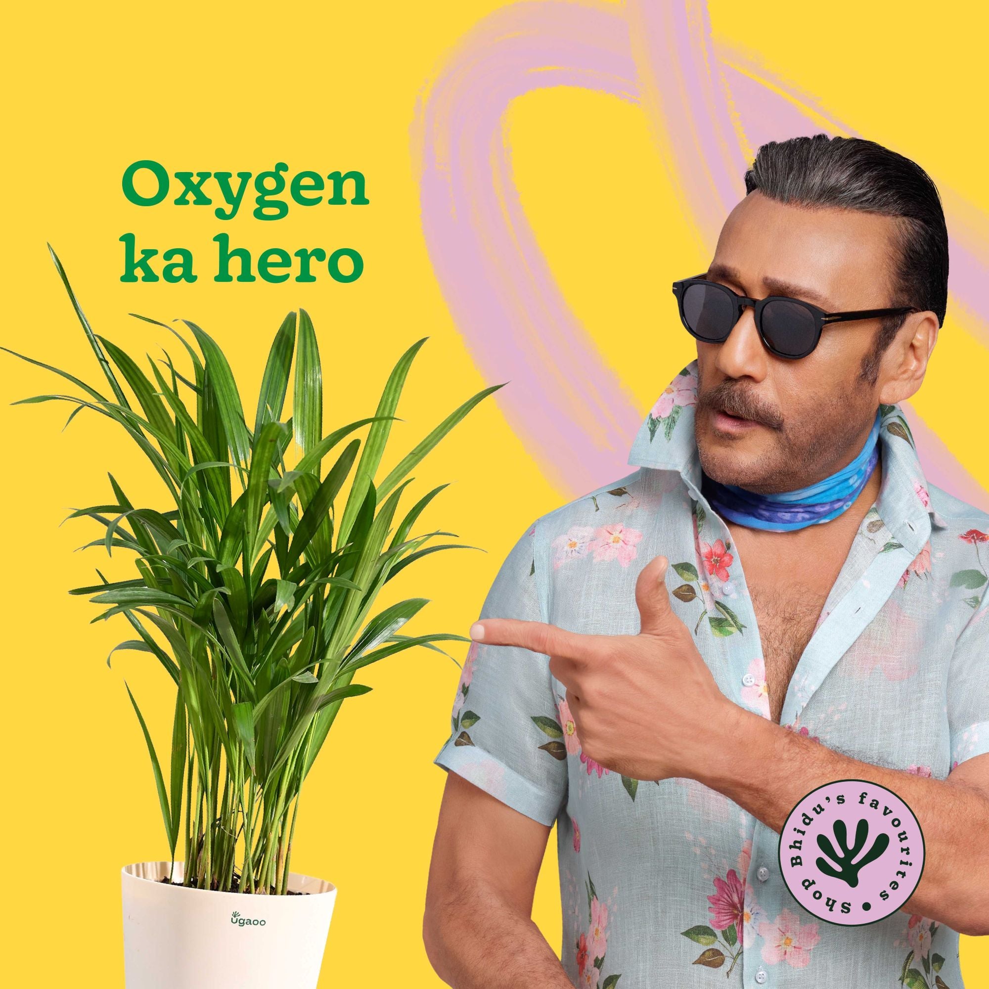 Areca Palm Plant with Self Watering Pot