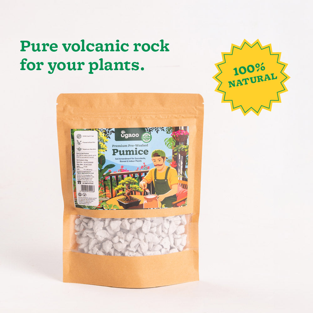 PUMICE STONE CRUSH