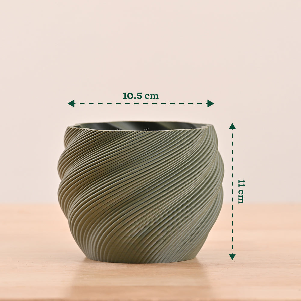 3d printed pots for plants_NUHP0343