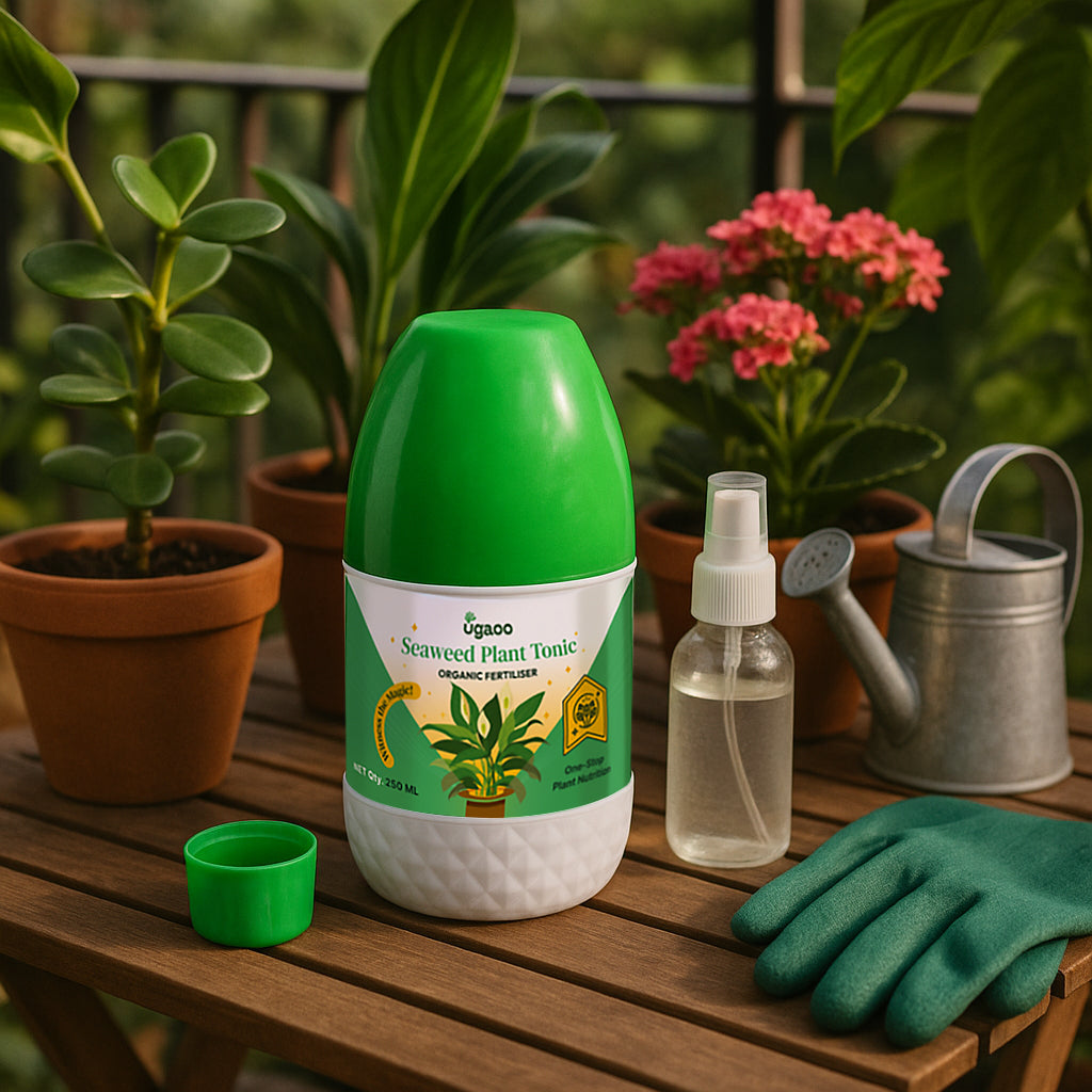 seaweed tonic for plants without fertilizer 250 ml Seaweed liquid fertilizer | Plant tonic for Plants