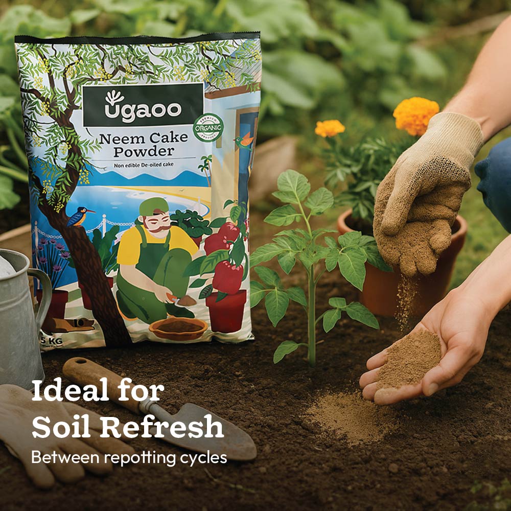 Essential Soil Boost Kit