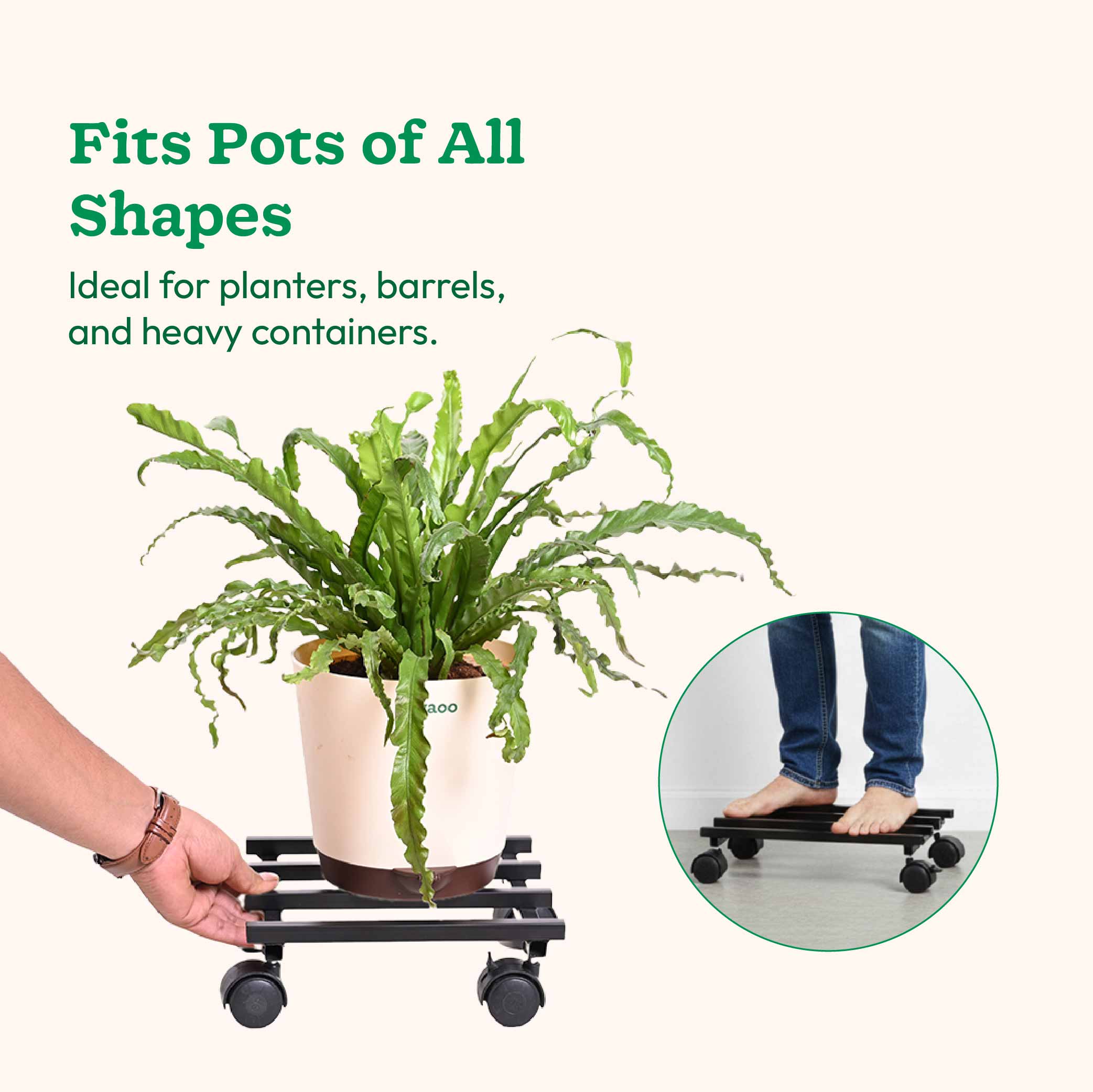 Rolling Plant Stand - Black