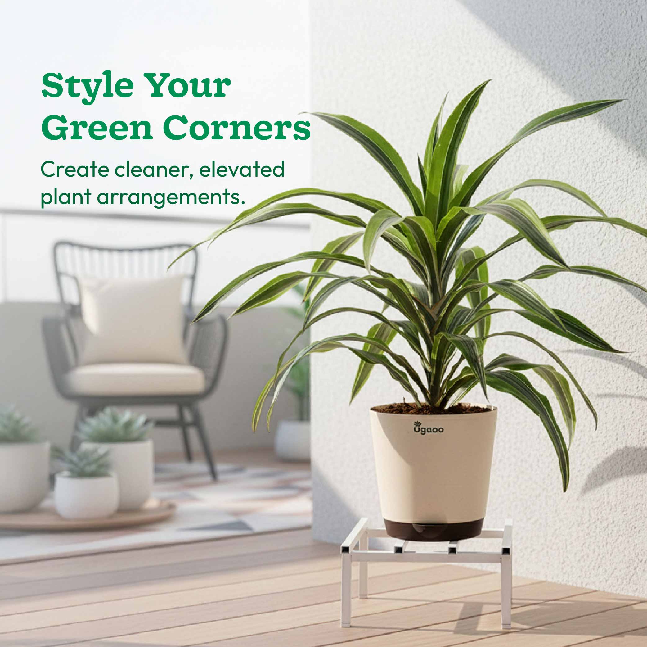 Rolling Plant Stand - White