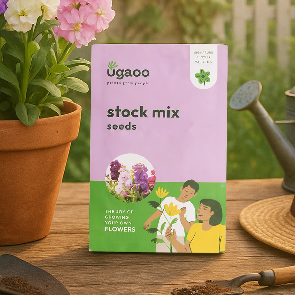 Stock Mix Seeds