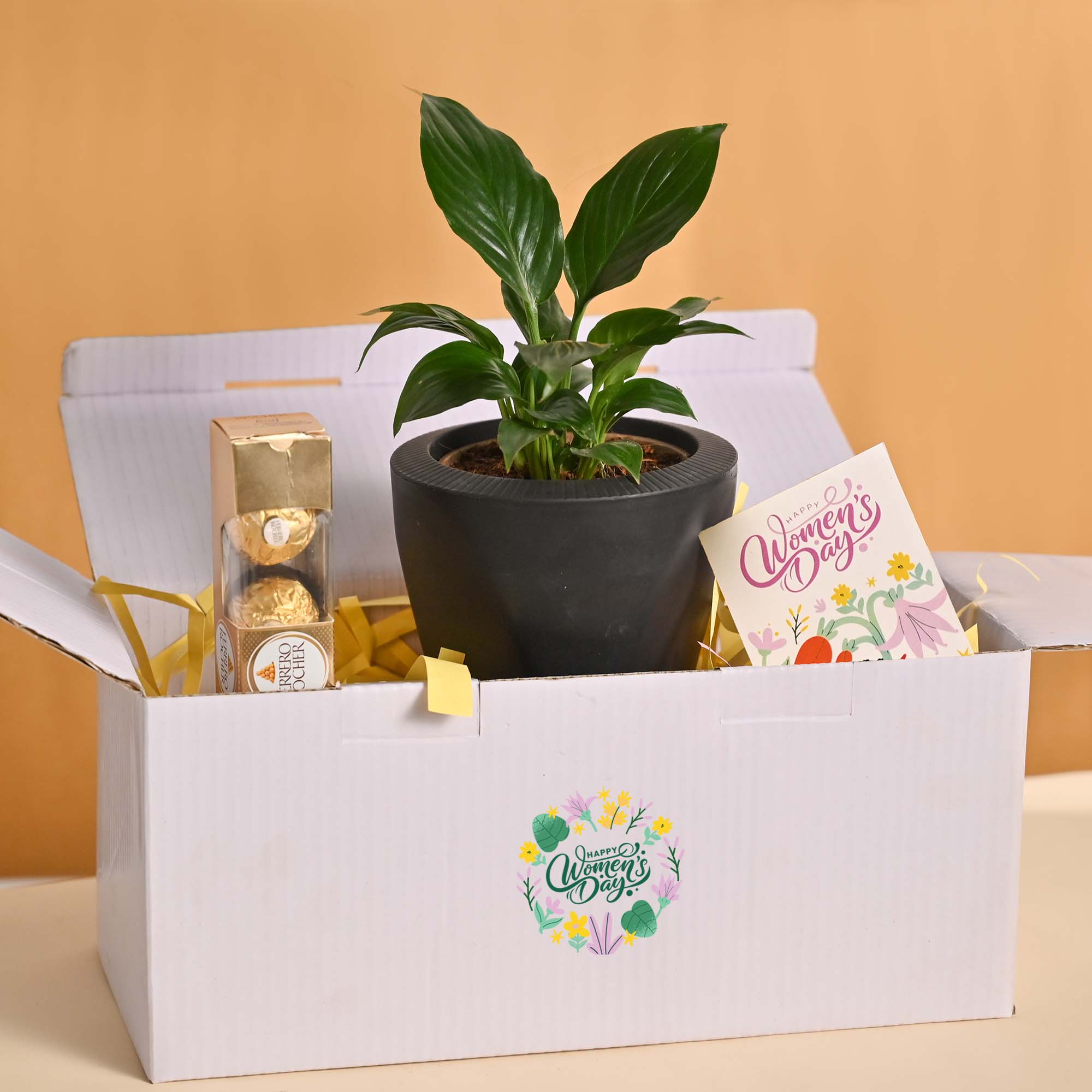 Grace & Growth – Women’s Day Plant & Chocolate Hamper