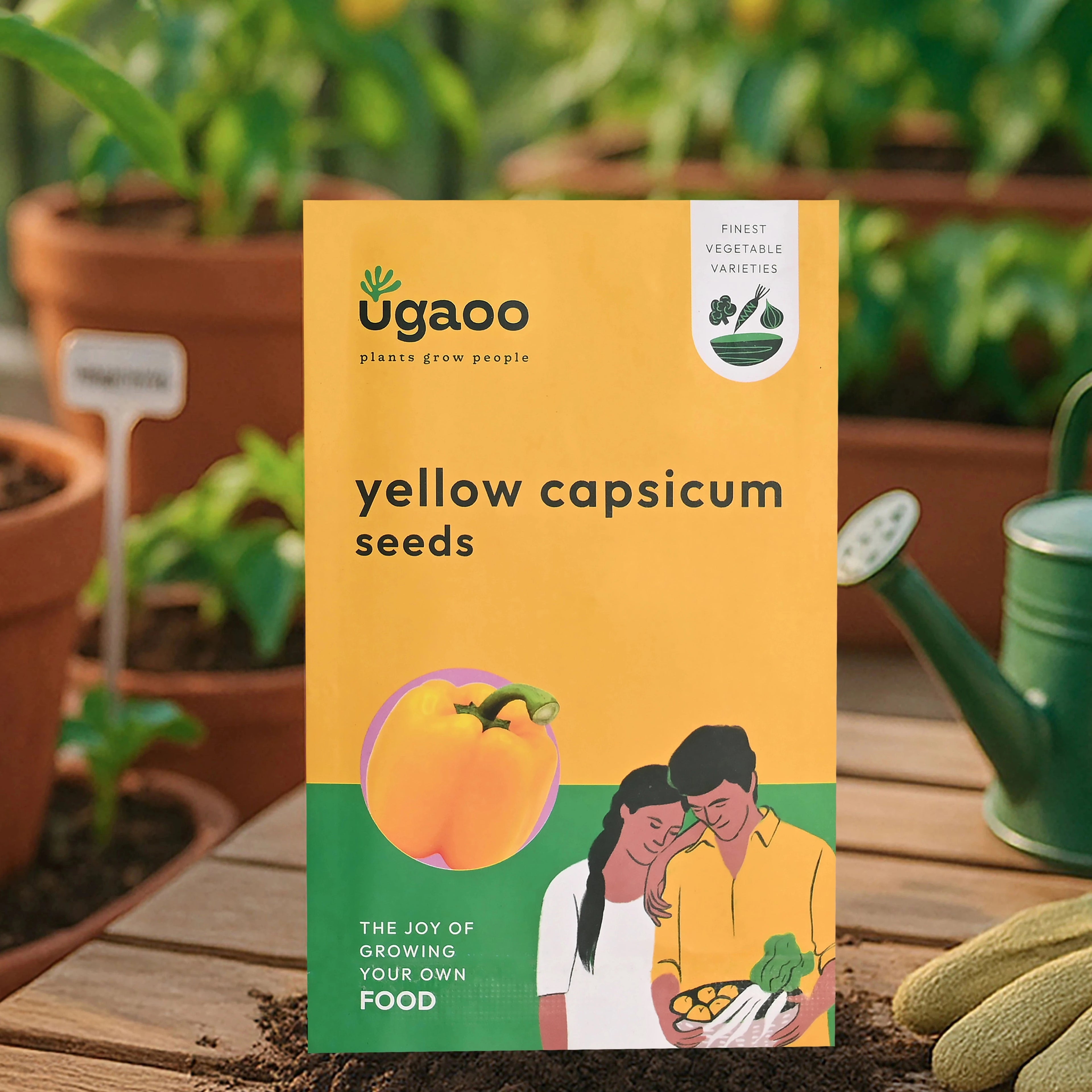 Yellow Capsicum Seeds