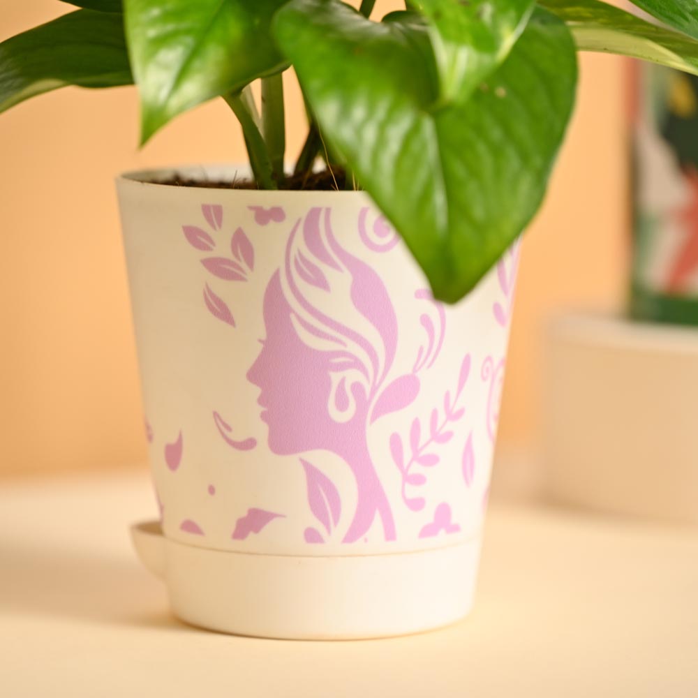 Prosper & Shine – Women’s Day Gifting Hamper