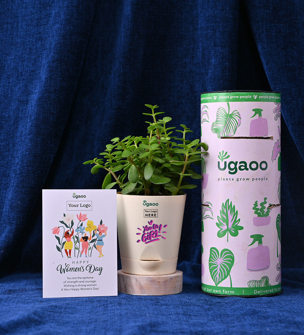 Jade Mini with Book - LADY You&