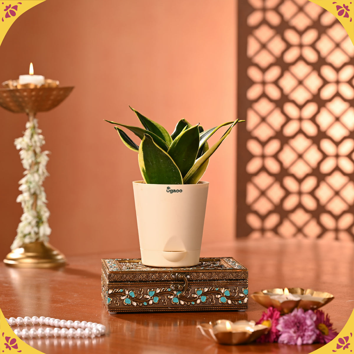 Jhoomar Diwali Hamper