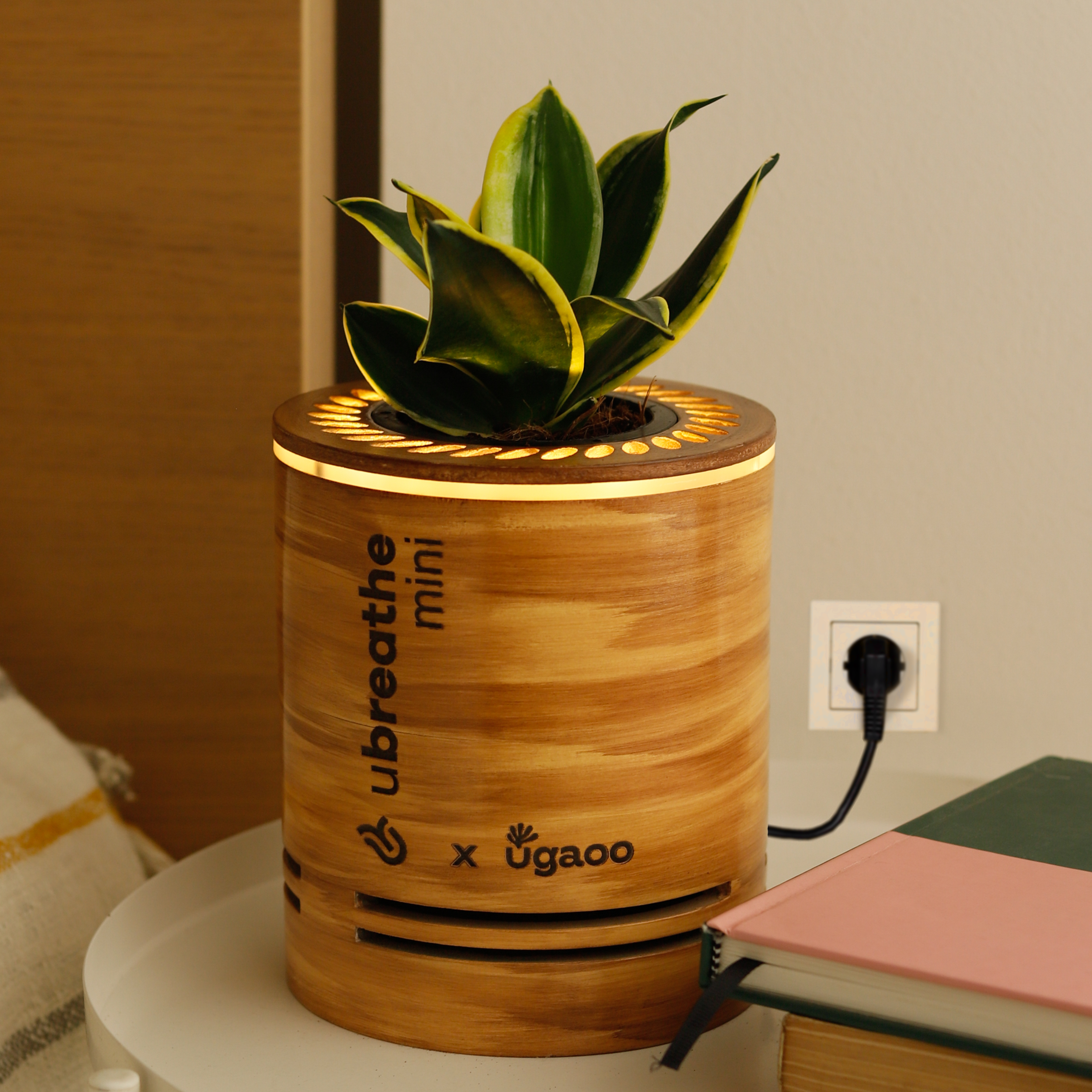 planter air purifier Buy home air purifier: Effective Solutions for Clean Air – Ugaoo