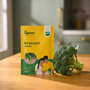 Broccoli Seeds