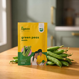 Green Peas Seeds