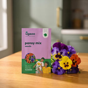 Pansy Mix Seeds