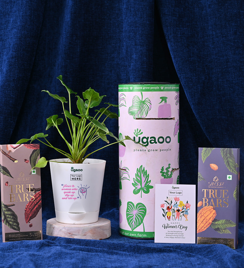 True Bar - Dark Chocolate and Slow Roasted Almond Chocolate