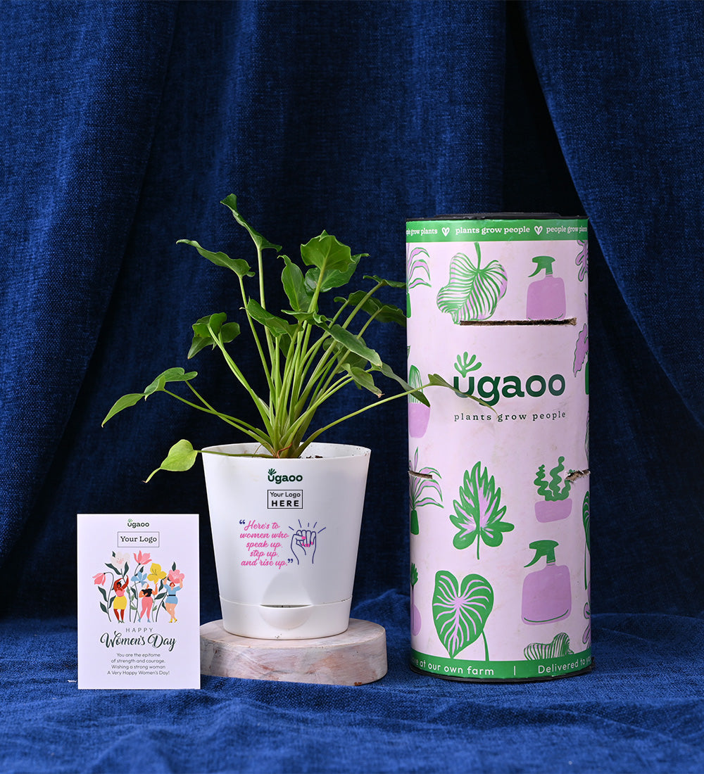 True Bar - Dark Chocolate and Slow Roasted Almond Chocolate