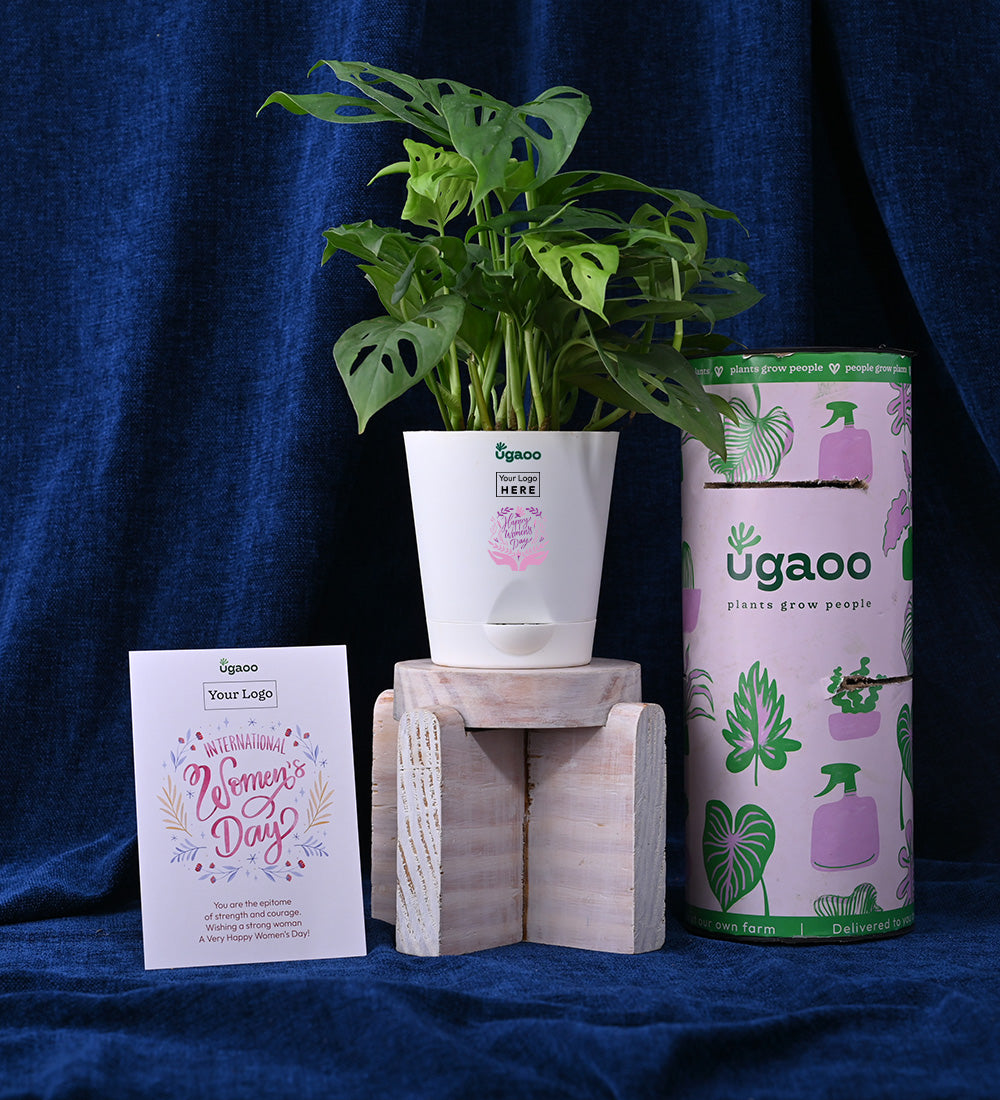 Plant with Crunch & Crisps For Women&